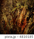 4810185
