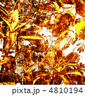 4810194