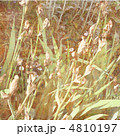 4810197