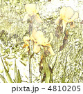 4810205