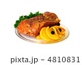 食品 ピクニック おいしい