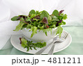 食品 成分 葉