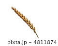 4811874