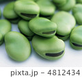 ベジタリアン 健康 ヒープ