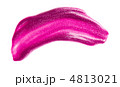 4813021