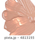 4813193