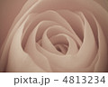 4813234