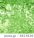4813636