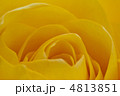 バレンタイン 既婚 愛