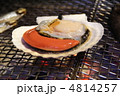 ホタテ ホタテ