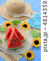 夏