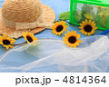 夏 夏