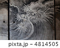 龍図