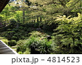 新緑