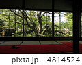 名画