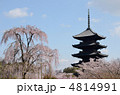 春の東寺 春の東寺