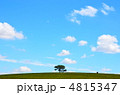 一本の木