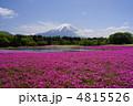 富士芝桜まつり 富士芝桜まつり