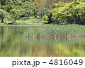 春の嵯峨野散策 水景色 広沢 春の嵯峨野散策 水景色 広沢
