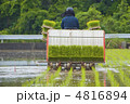 田植え 田植え