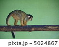 5024867