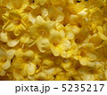 5235217