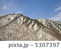 5307397
