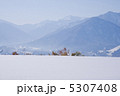 5307408