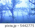 5442775