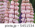 5451534