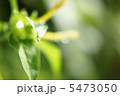 5473050