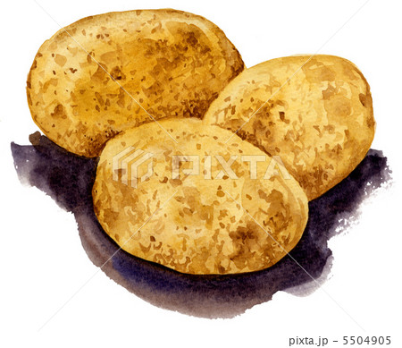 potato120909pix 5504905