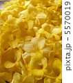 5570019