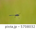 5708032