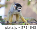5754643