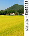 5965453