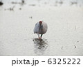 6325222