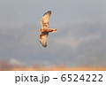 6524222