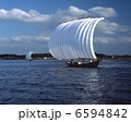 6594842