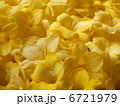 6721979