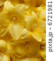 6721981