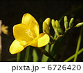 6726420