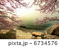 琵琶湖の桜 6734576