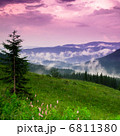 Beautiful landscape