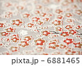 和紙 6881465