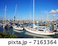 7163364