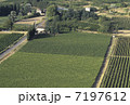 7197612