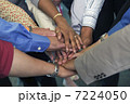BLD001212 BLD001212