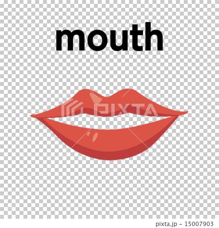 图库插图: 英语单词1 _ mouth _ 15/25