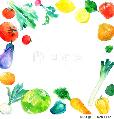 野菜フレーム 正方形のイラスト素材